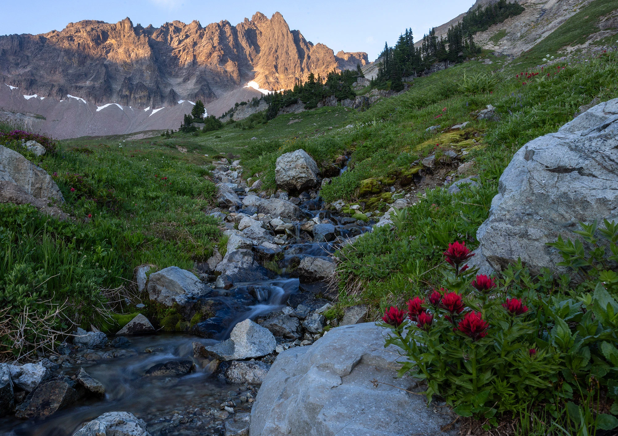 Who Belongs in the Cispus Basin?