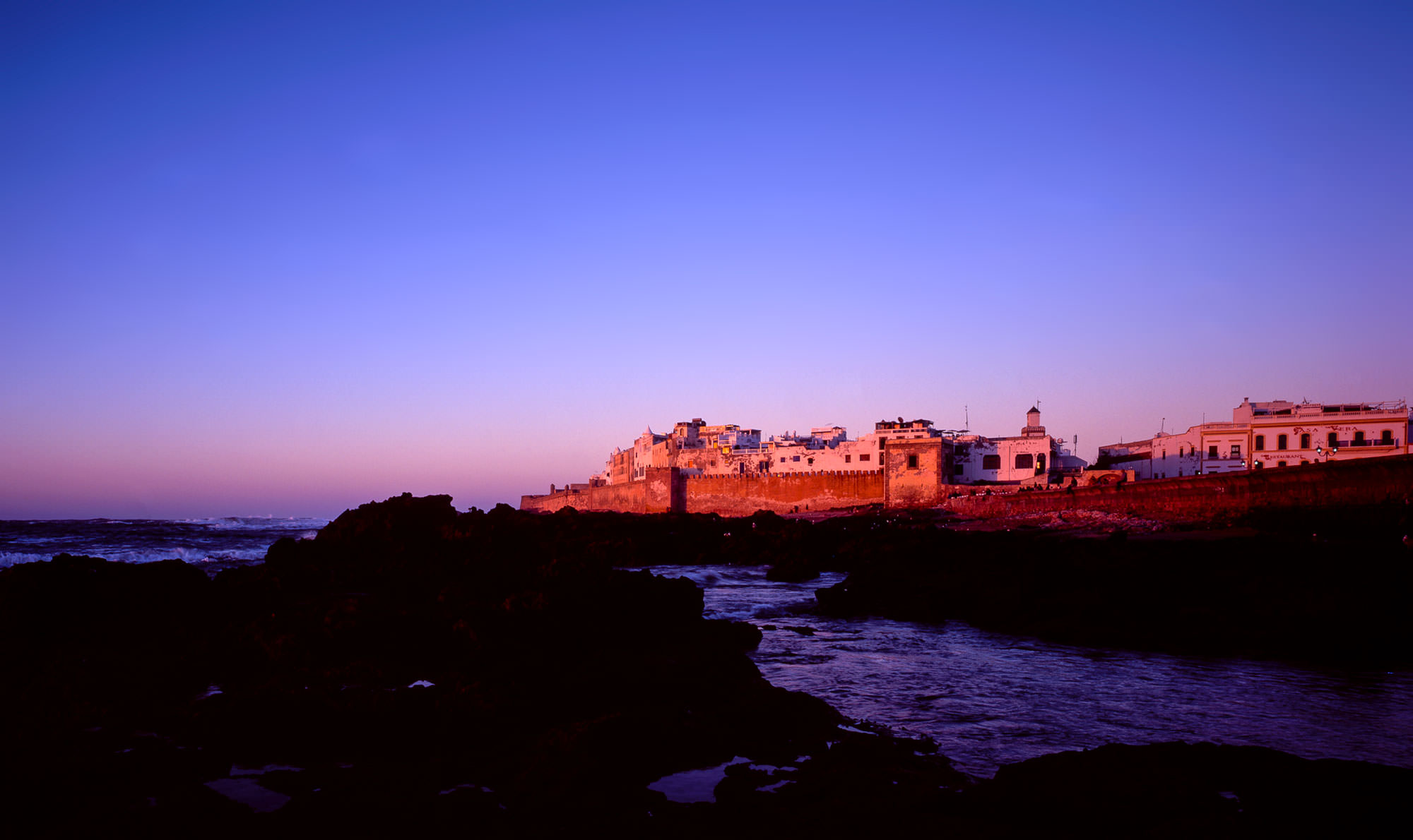 The Essaouira Murex
