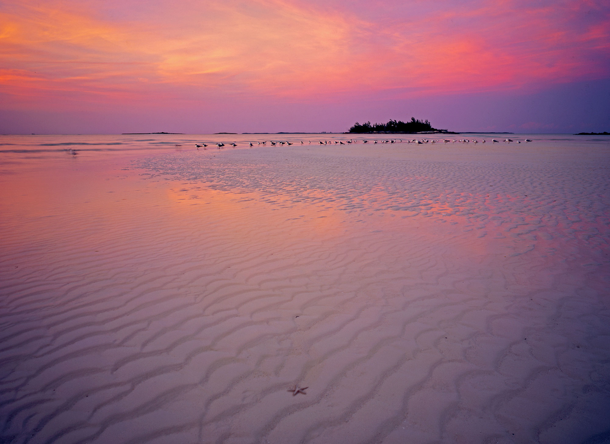Eyes of the West Indies