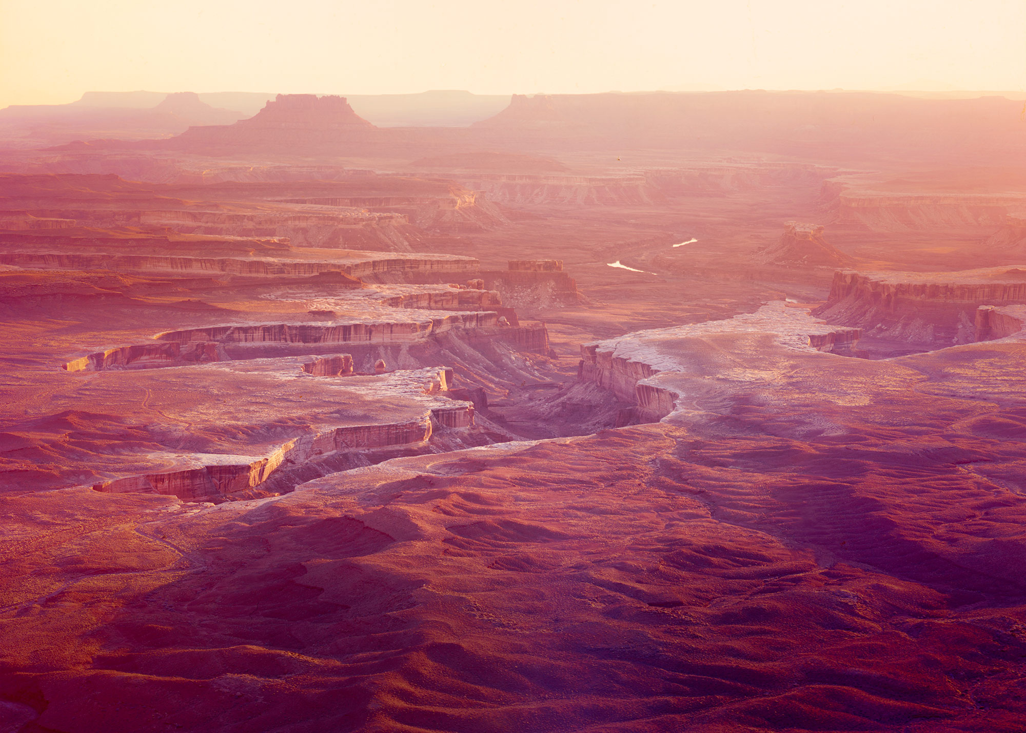 The Good Lizard of Coalpits Wash