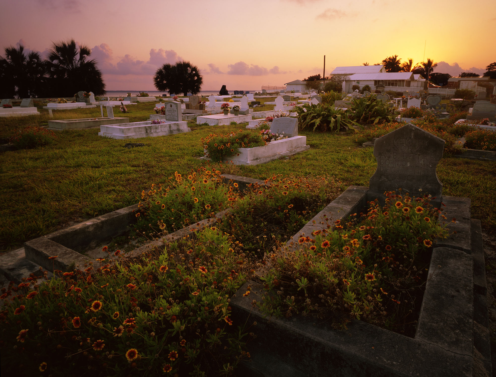 Wreckers, Pineapples and Pirates