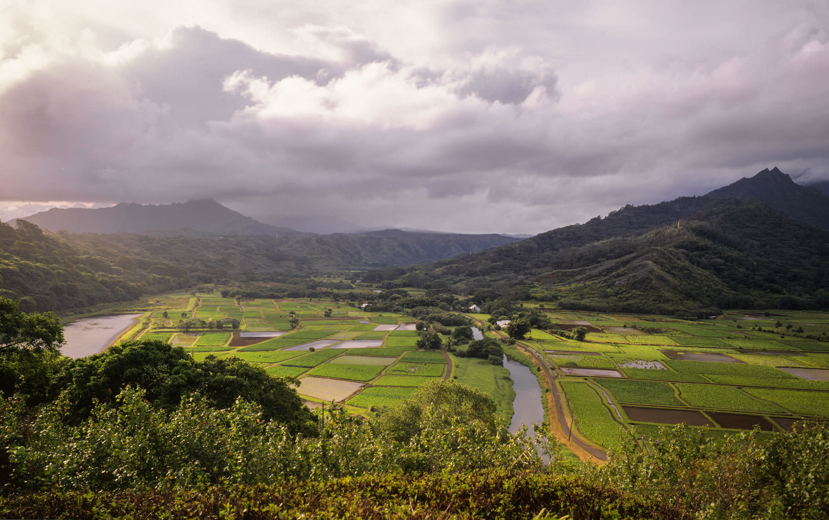 Roundup, Reefs, Runoff and the Hanalei Valley