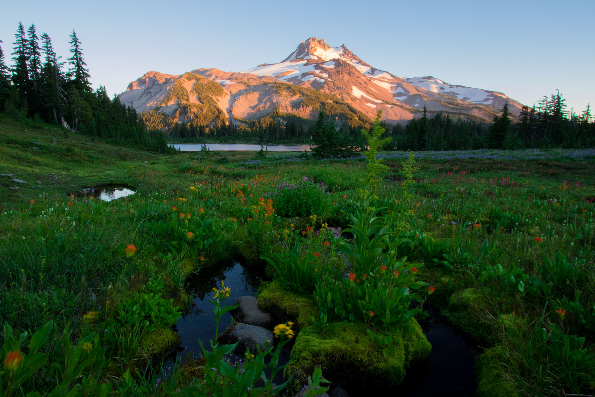 Jefferson Park Wilderness