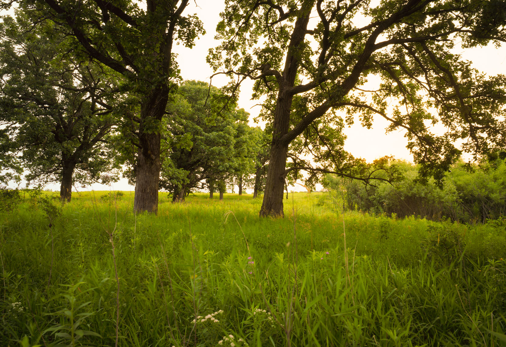Flyfishing with Mr. Phu