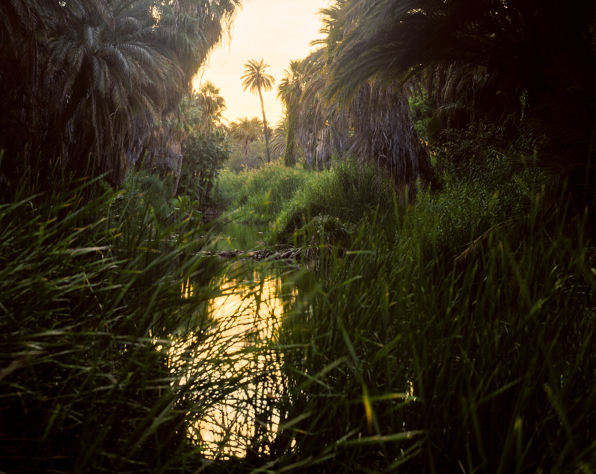 Bahia Coyote and Baja California Sur