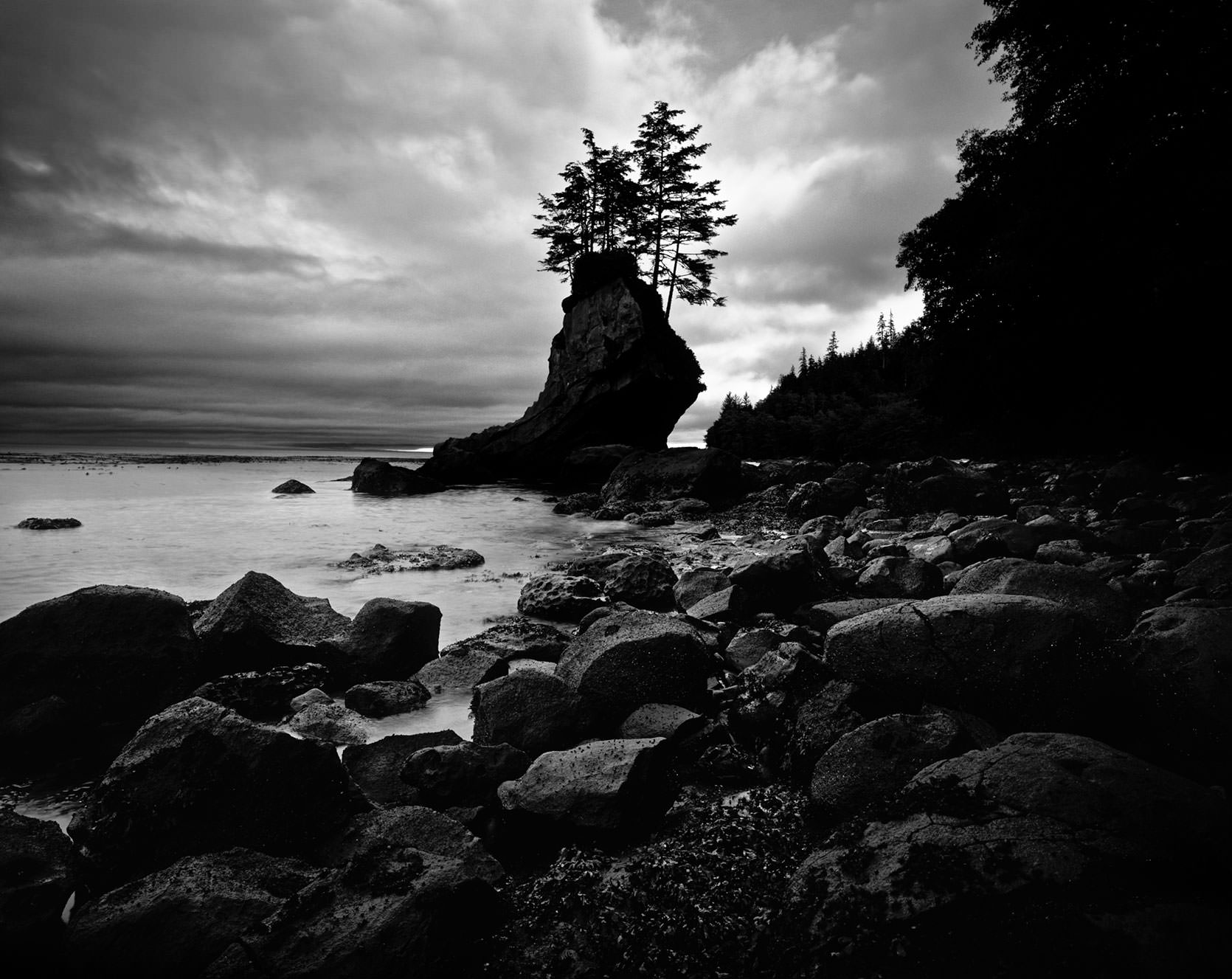 The Artist and the Whale Hunter