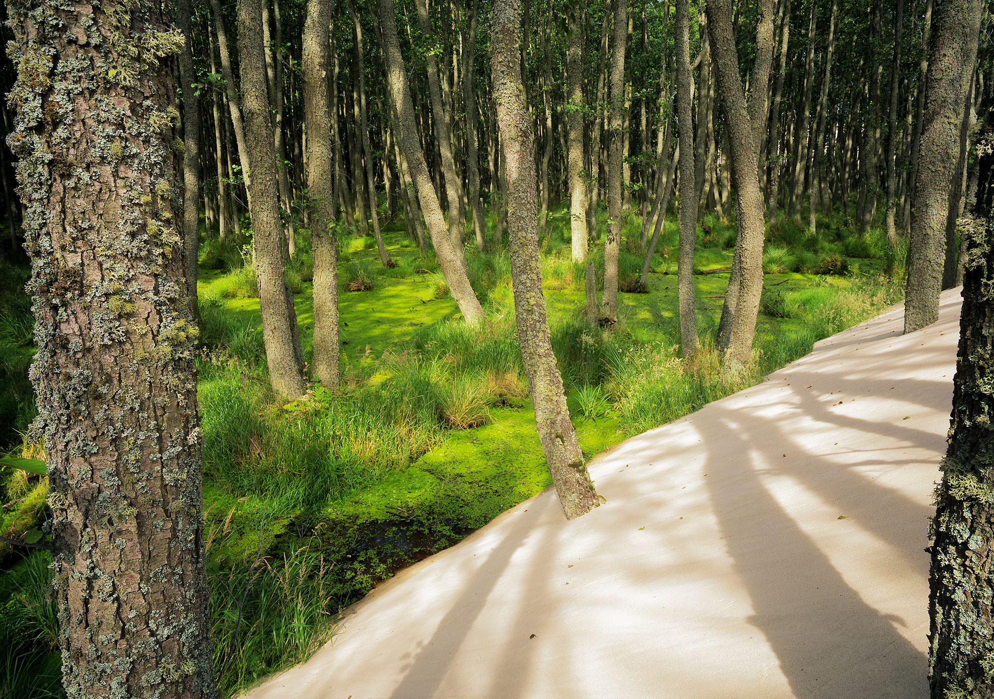Pomerania and a Pomeranian Feast