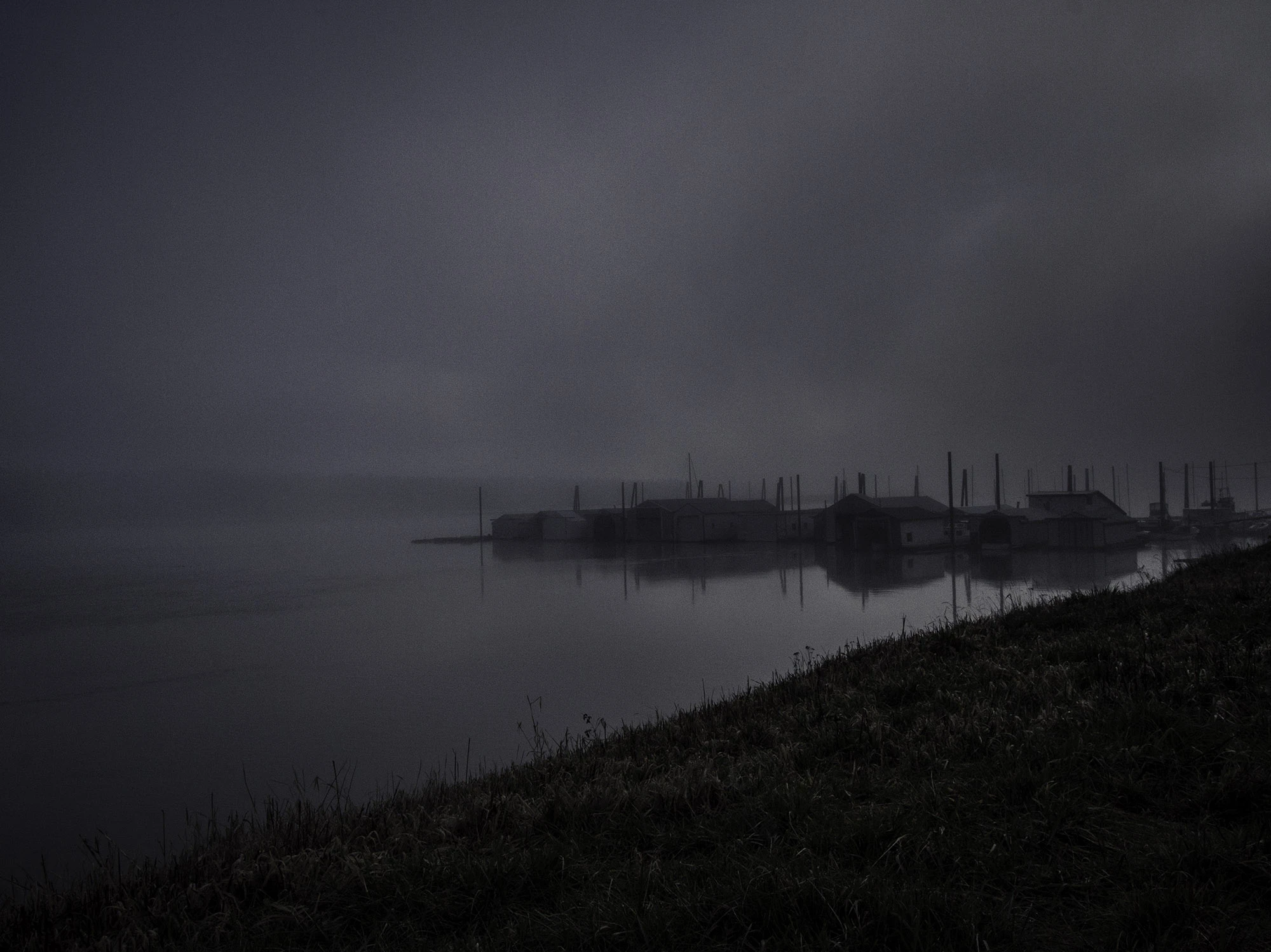 The Ark Saucer of Sauvie Island