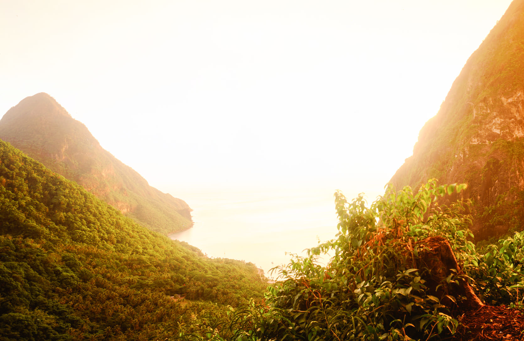 The Botanical Historyof Saint Lucia