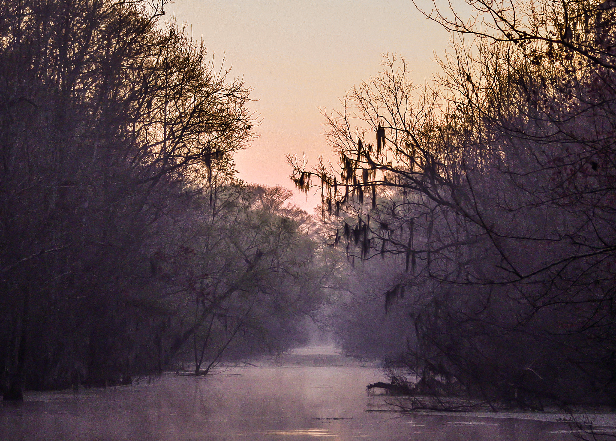 Catfish Heaven: Winter on the Bayou