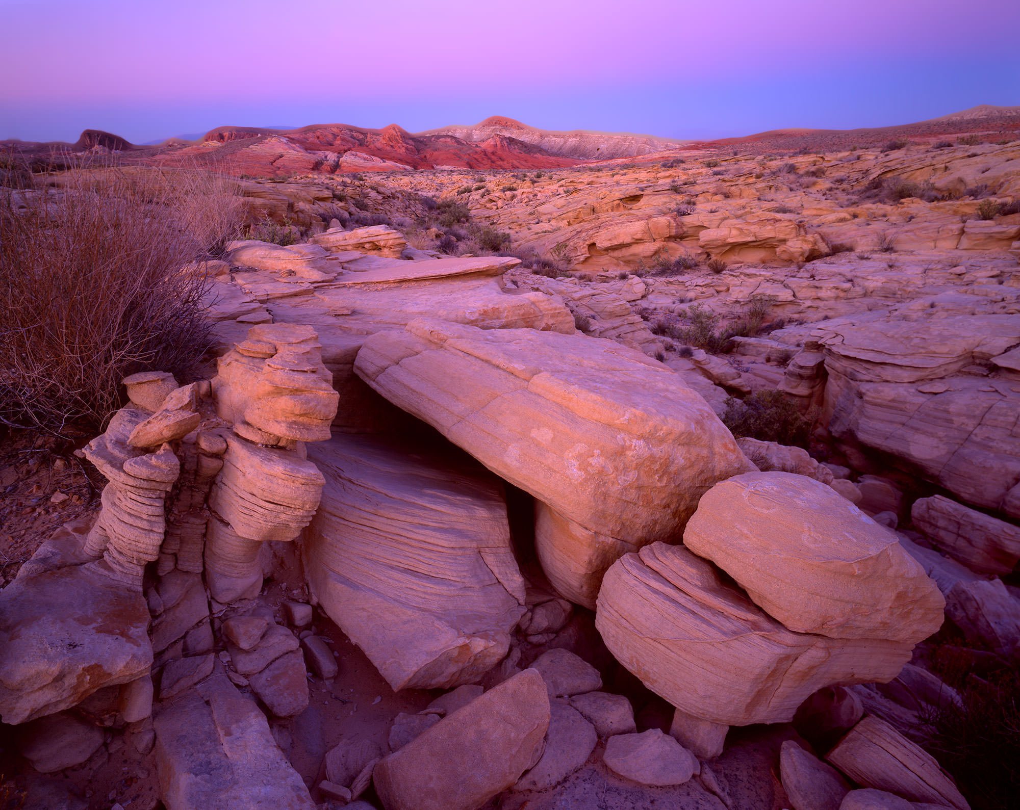 Valley of Fire and Thorns